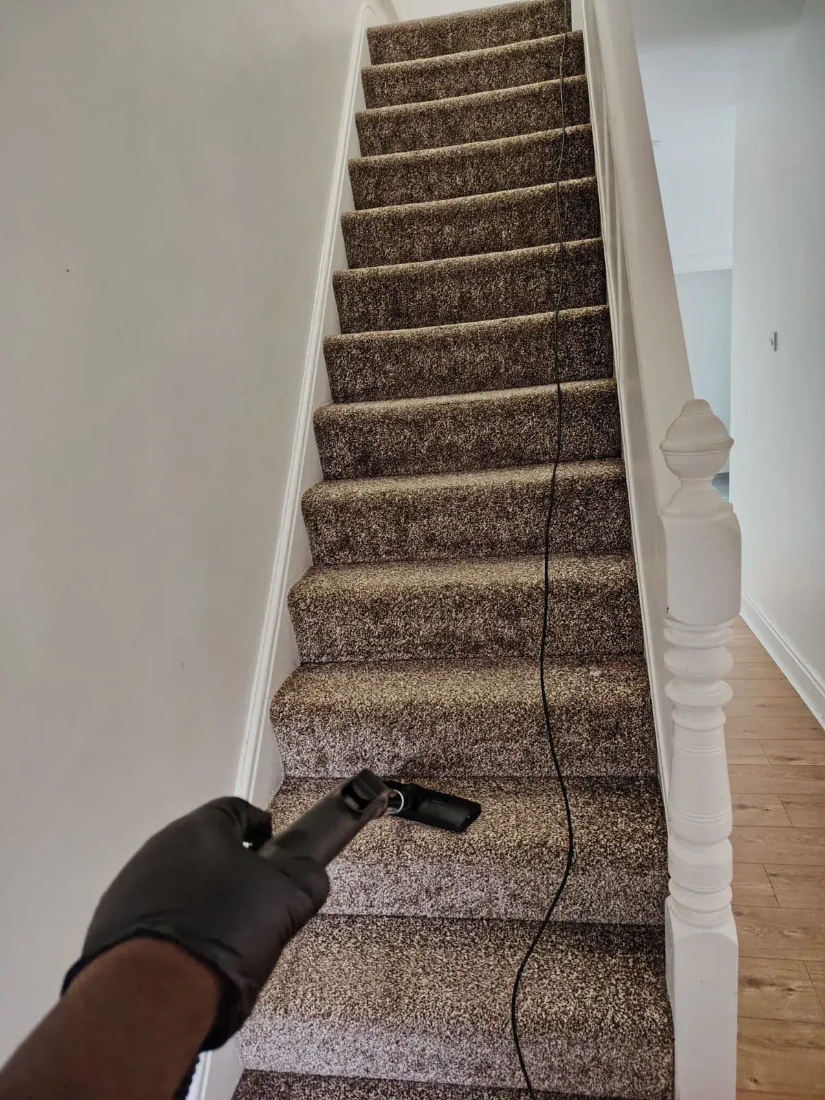 Carpet Cleaning in Birmingham by Adefem, example 1